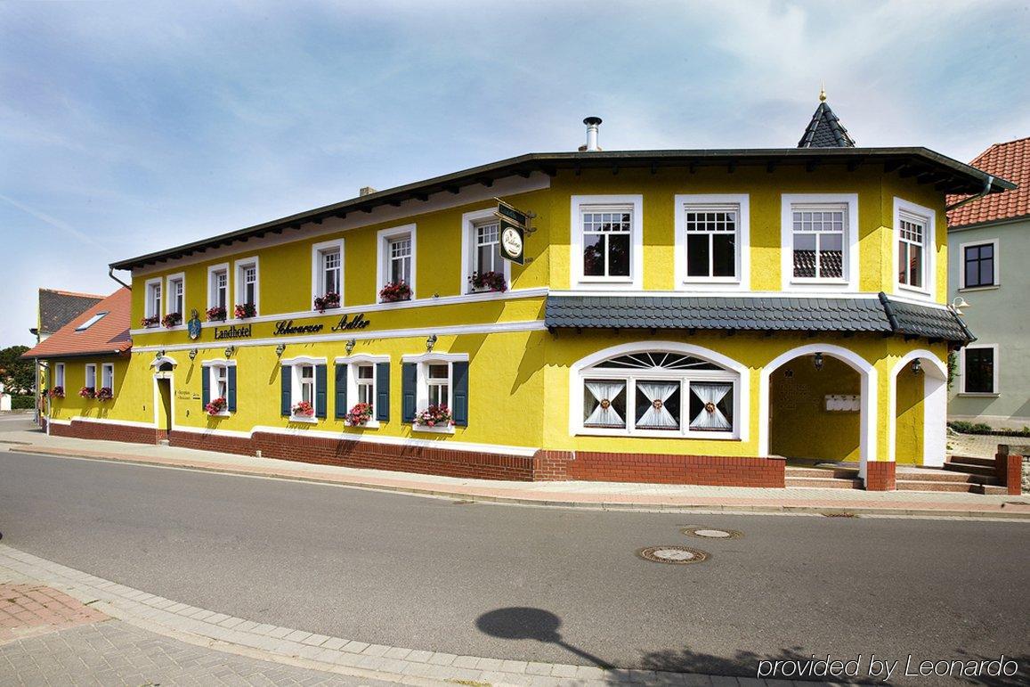 Landhotel Schwarzer Adler Suelzetal Extérieur photo